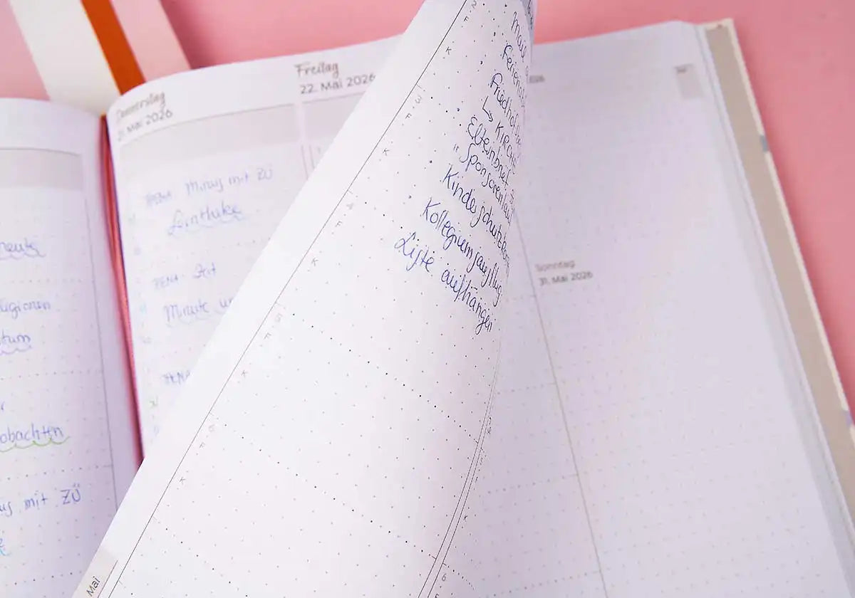 Mängelexemplare 2025/2026 - amoedo – Schöne Papeterie