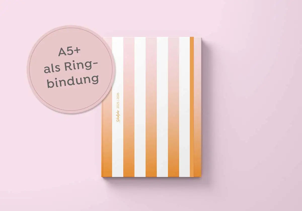 Lehrerplaner mit A5 Ringbindung für das Schuljahr 2025/2026 vom amoedo