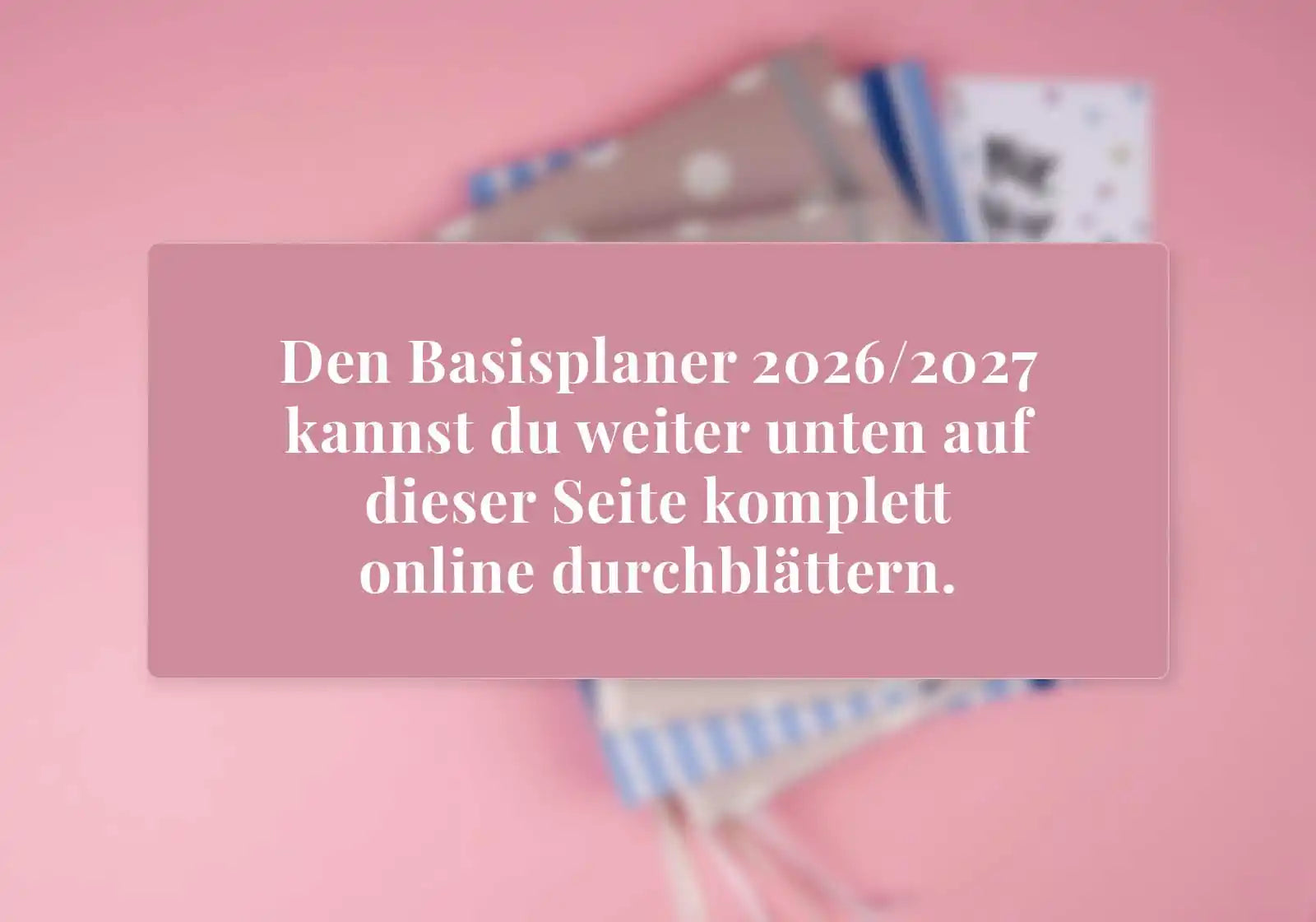 Lehrerkalender 2026/2027 als A4+ Softcover-Basisplaner (Mängelexemplar)